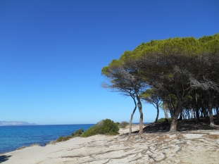 Sardinien-Sept.-2013.JPG